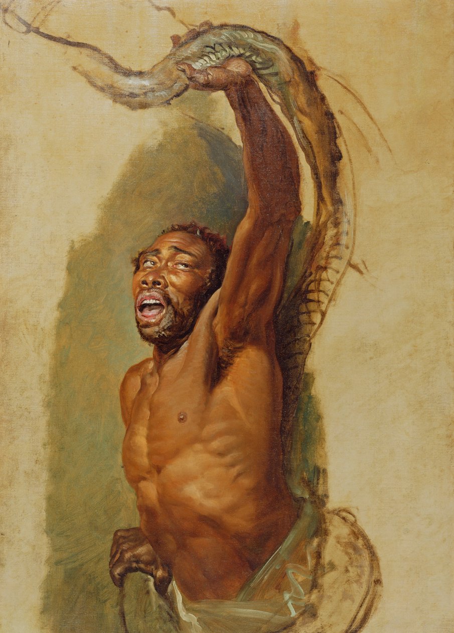 Mann som sliter med en Boa Constrictor, Studie for 