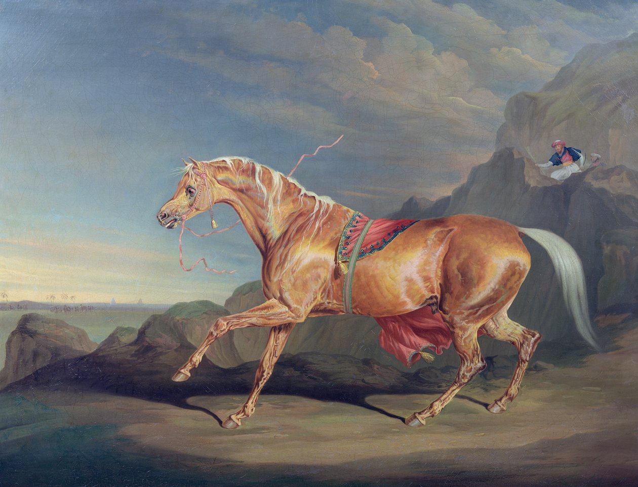 Mr Alfred Bonars Arabian, Dare Devil av James Ward