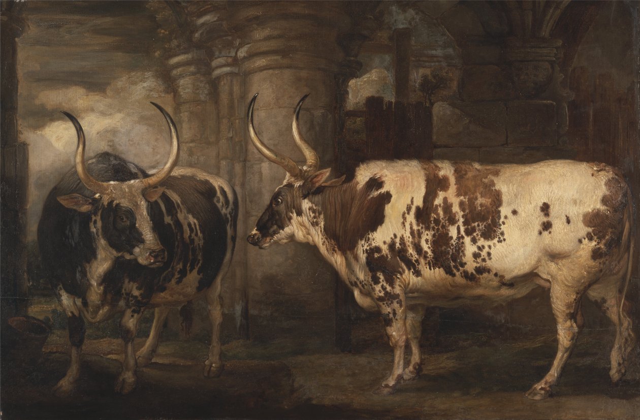 Portretter av to ekstraordinære okser, eiendommen til Earl of Powis av James Ward