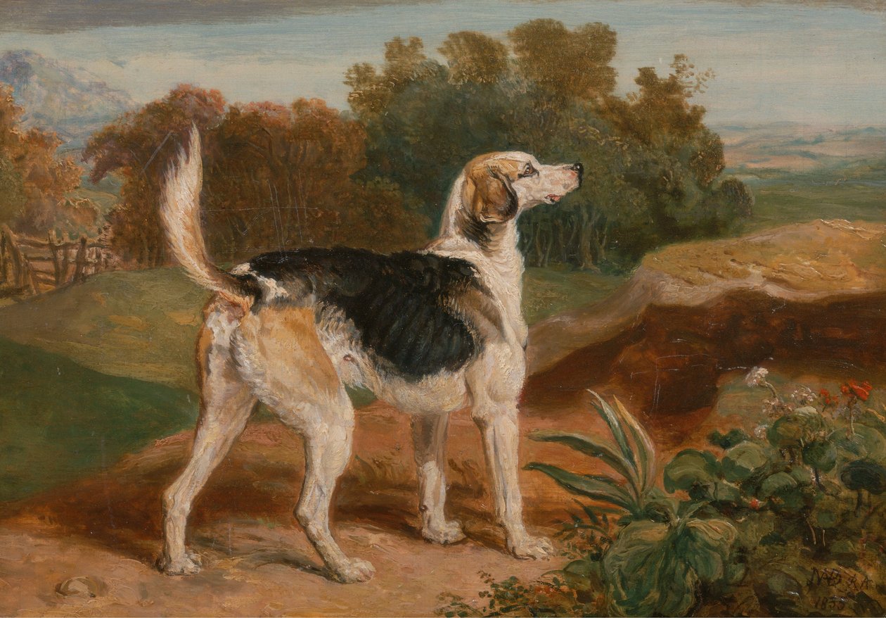 Ravager, en av Lambton Hounds av James Ward