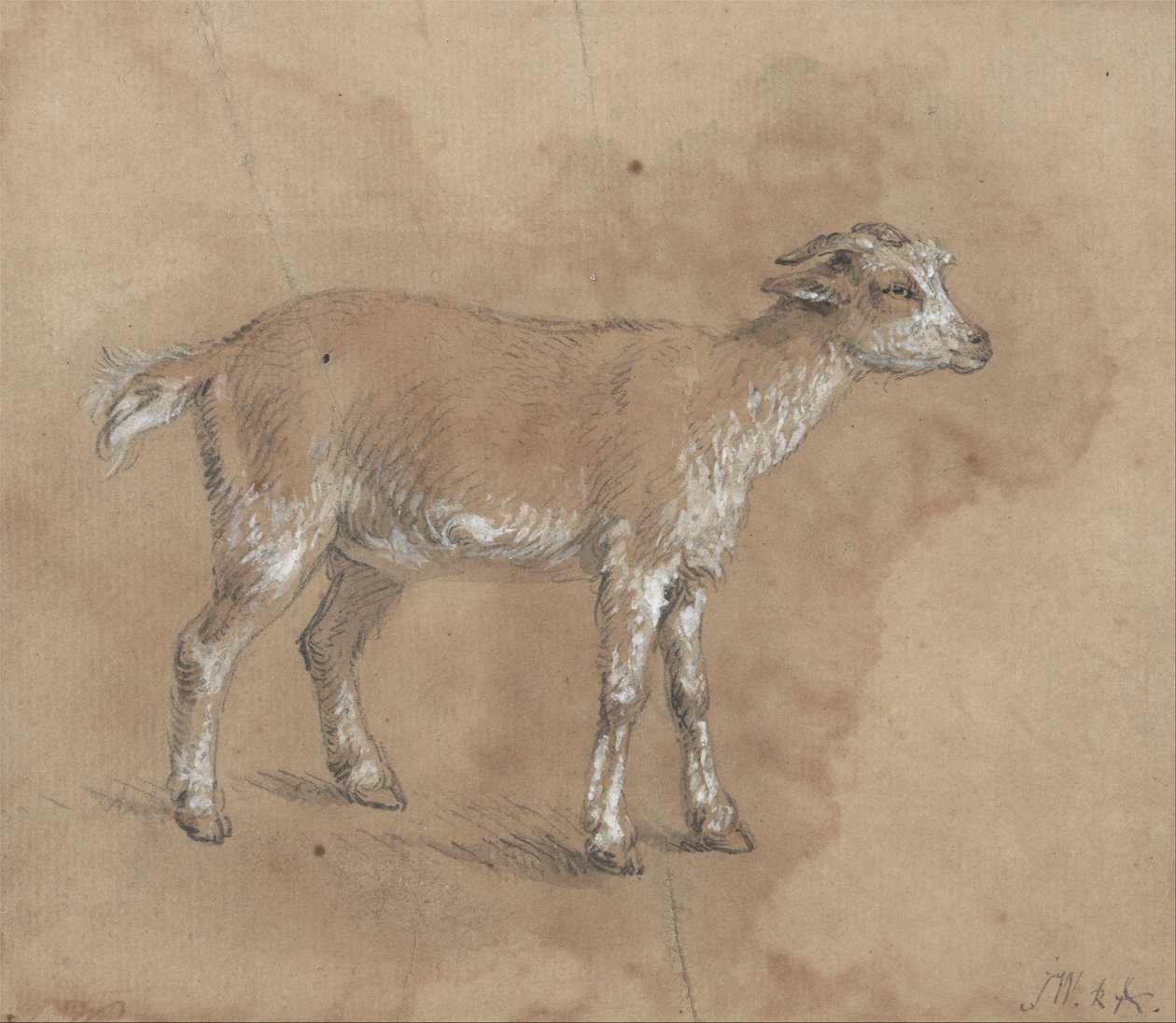 Studie av et barn av James Ward