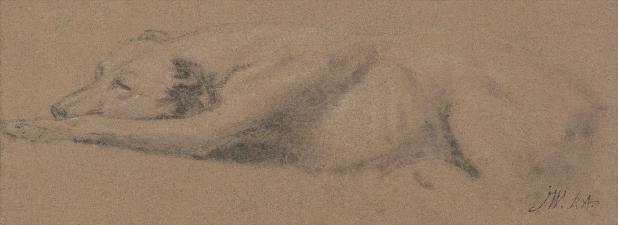 Studie av en sovende hund av James Ward
