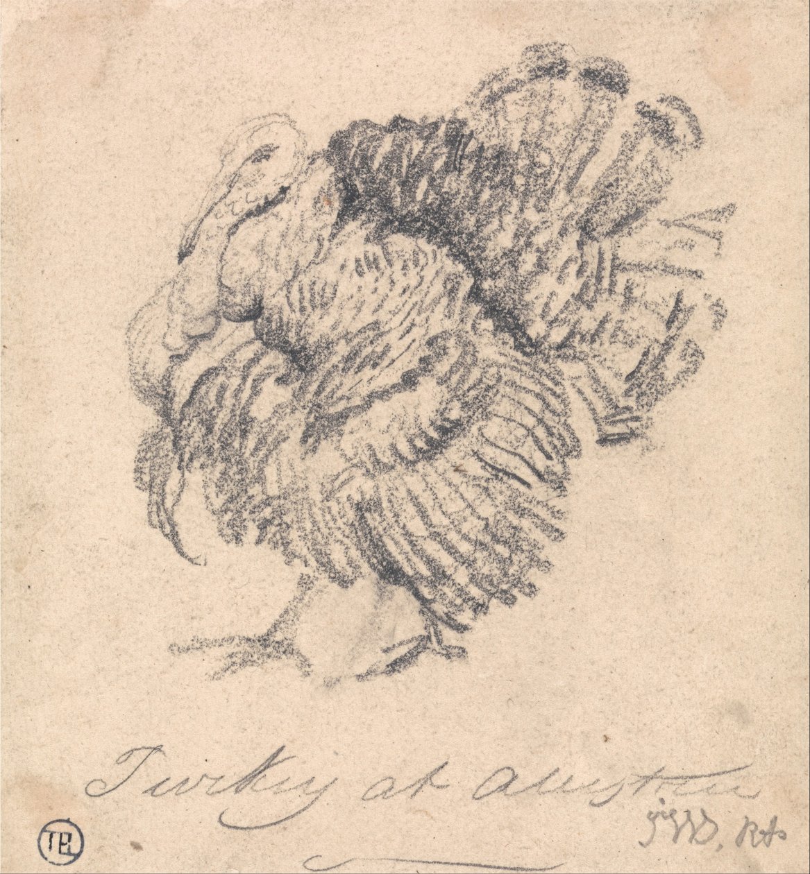 Studie av et Tyrkia av James Ward