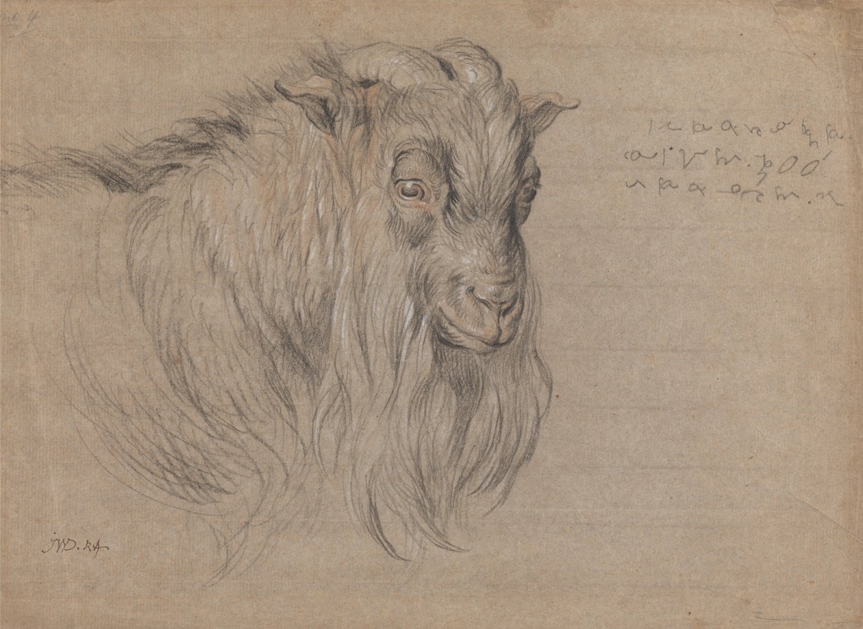Studie av Head of a Ram av James Ward