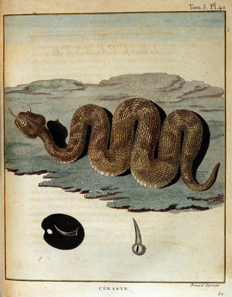 Serpent - i "" Reise til Nubia og Abessinia foretatt for å oppdage kildene til Nilen i løpet av årene 1768 til 1772", av James Bruce, Paris av James Bruce