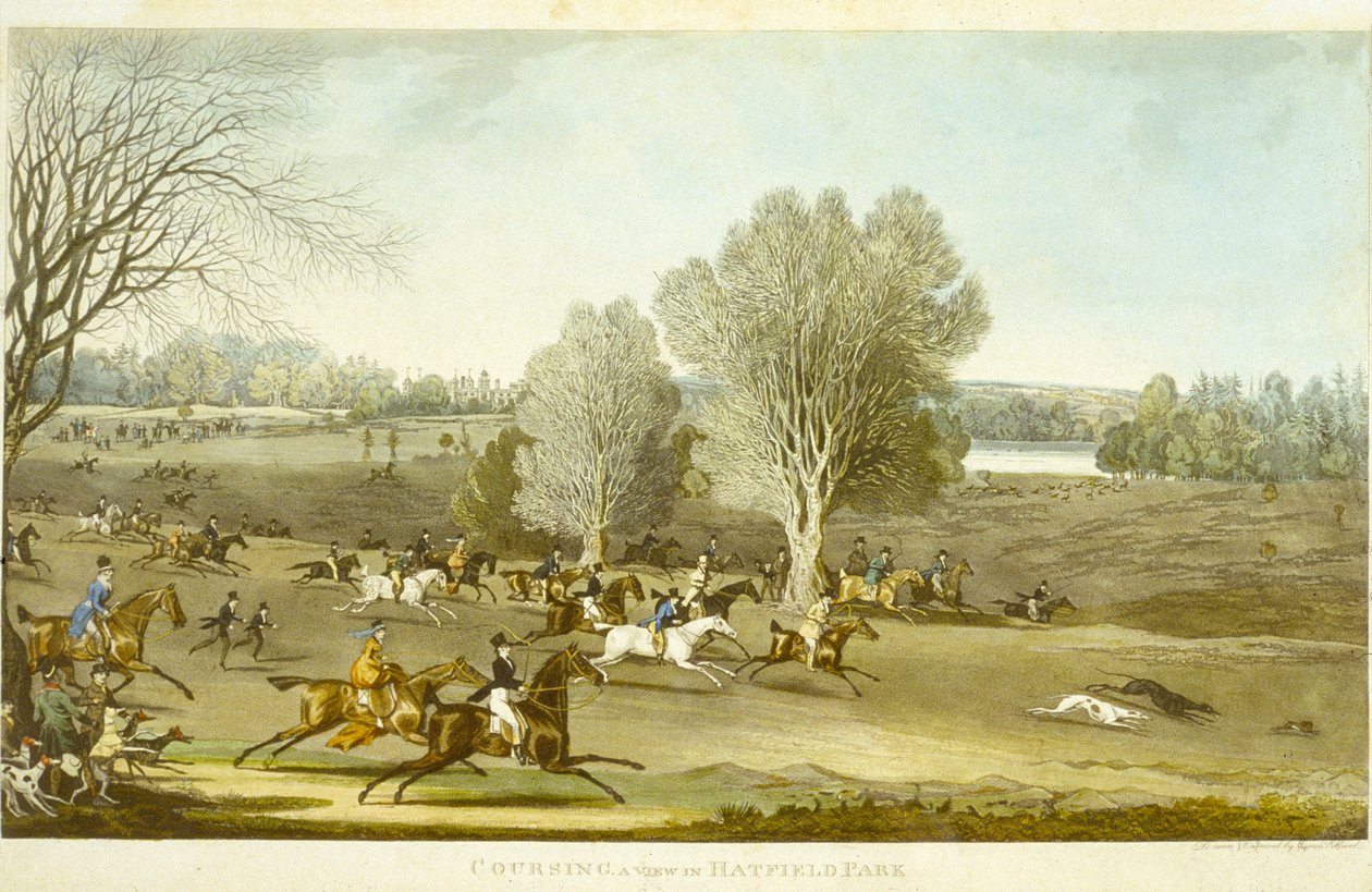 Coursing - A View of Hatfield Park, gravert av James Pollard (1797-1867) (farge litho) (se også 266808) av James (after) Pollard