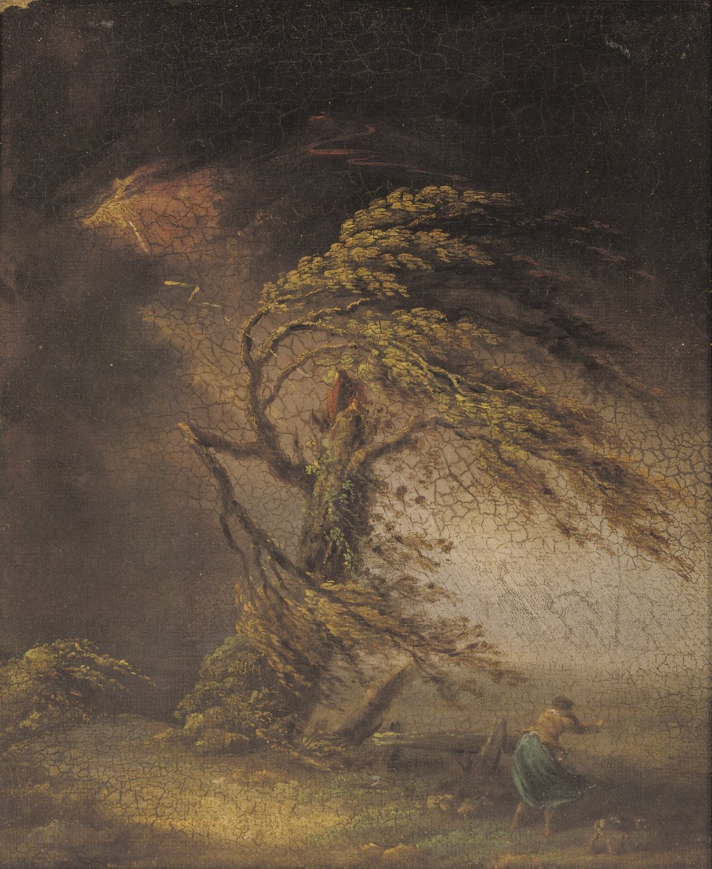 Et tre truffet av lynet (olje på lerret lagt ned om bord) av James (circle of) Ward