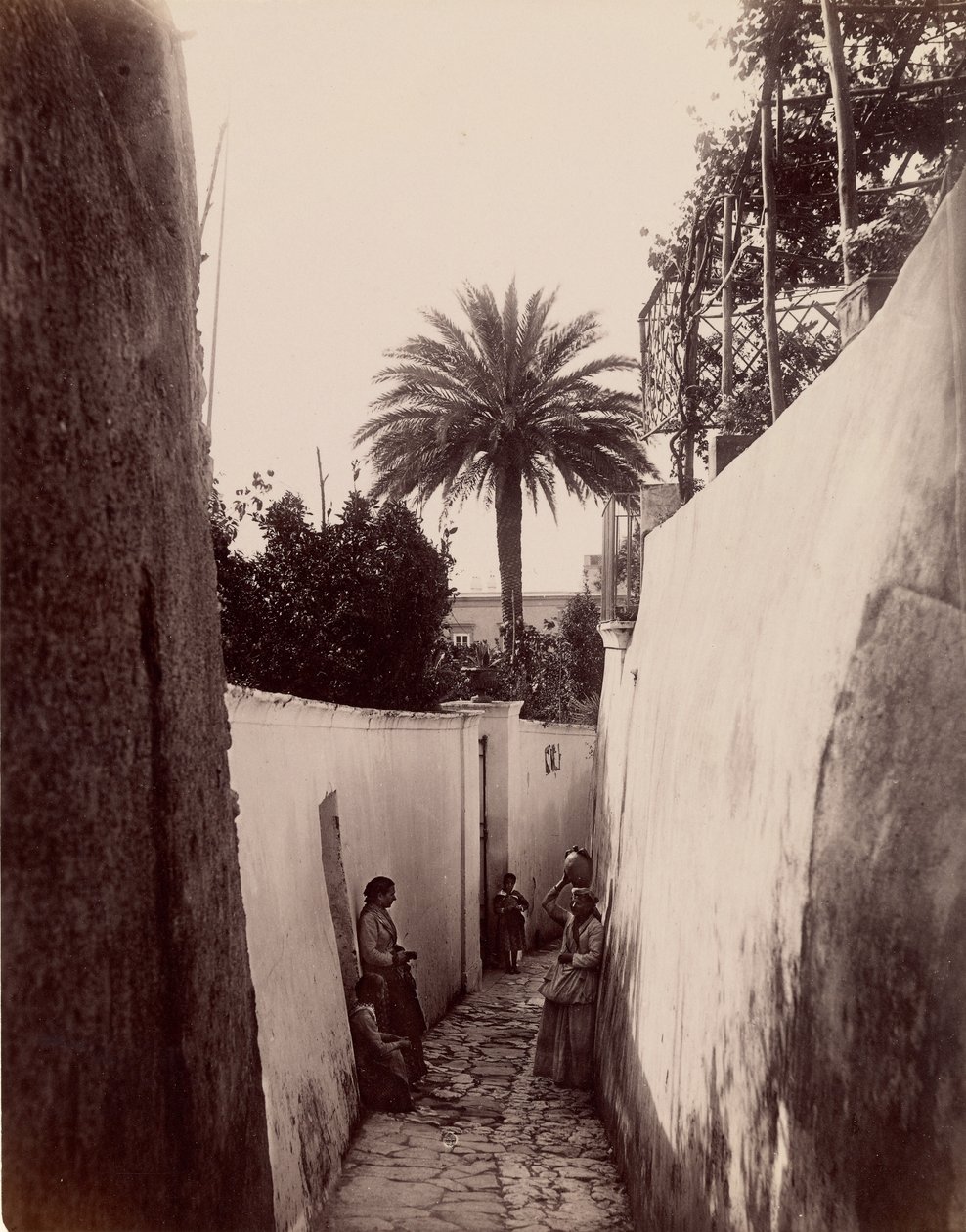 Capri av James Anderson