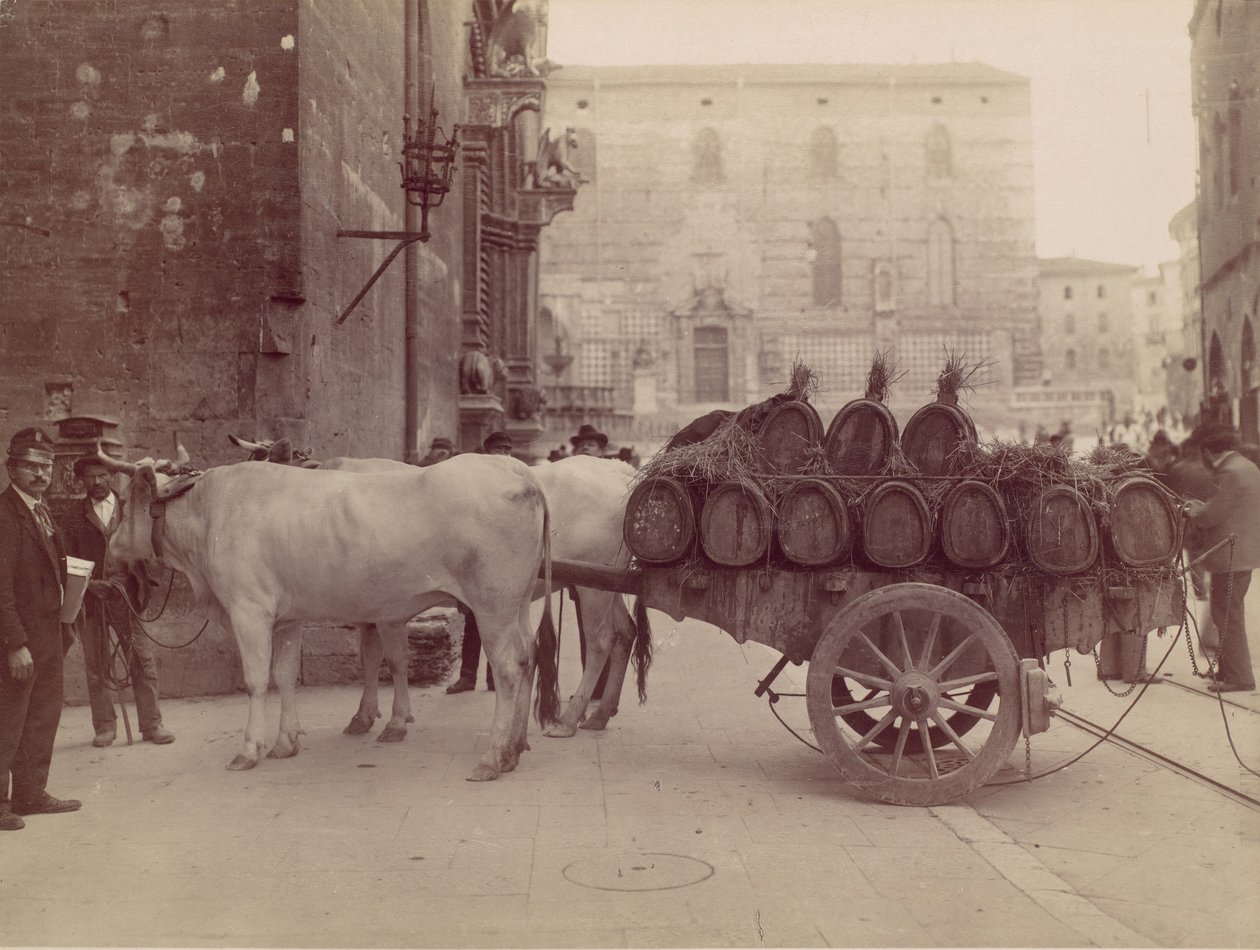 Vogn med okser, Perugia, 1880-tallet. av James Anderson