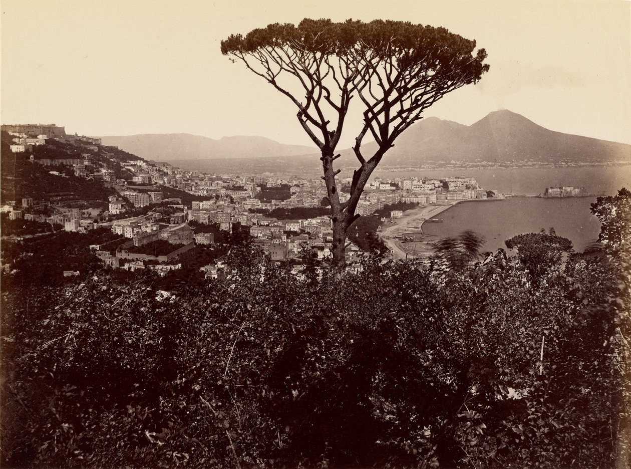 Panorama over Napoli av James Anderson
