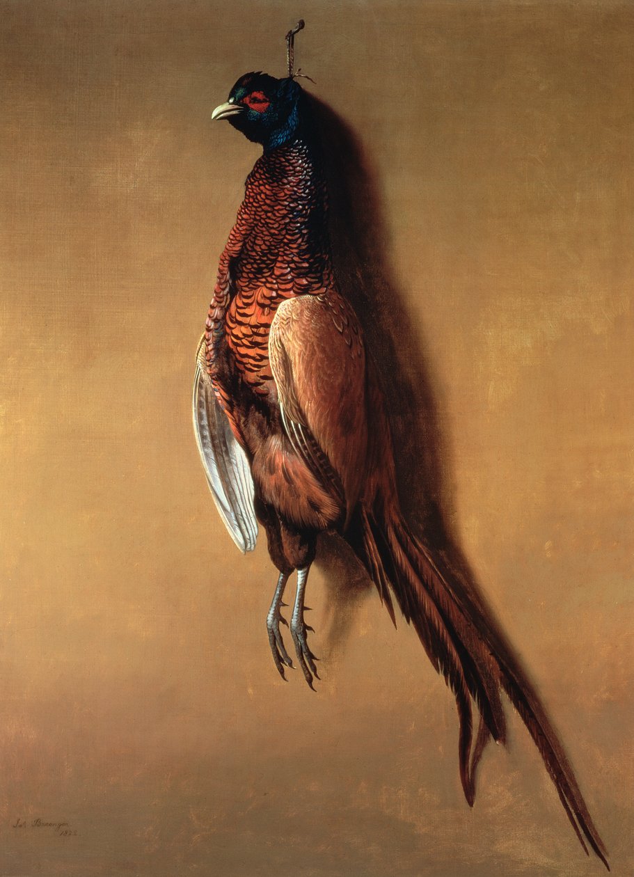 Hengende hanefasan, 1822 av James Barenger