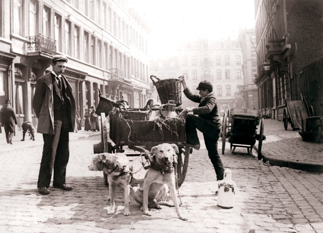 Gutt med hundevogn, Antwerpen, 1898. av James Batkin