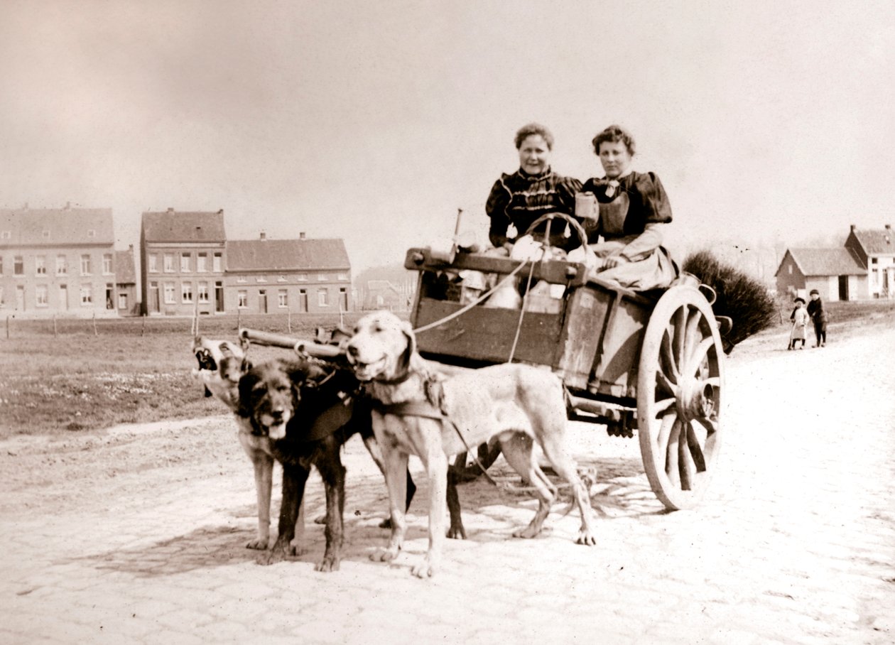 Hunder som trekker kvinner på en vogn, Antwerpen, 1898. av James Batkin