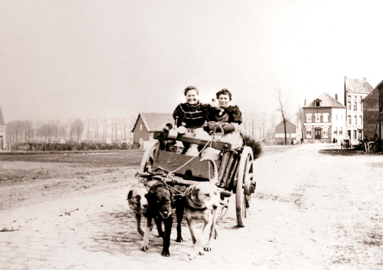 Hunder som trekker kvinner på en vogn, Antwerpen, 1898. av James Batkin
