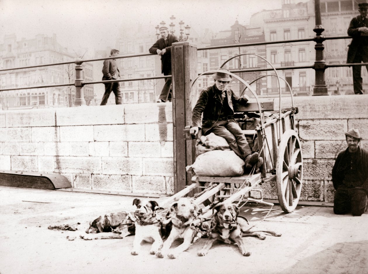 Mann med hundevogn, Antwerpen, 1898. av James Batkin