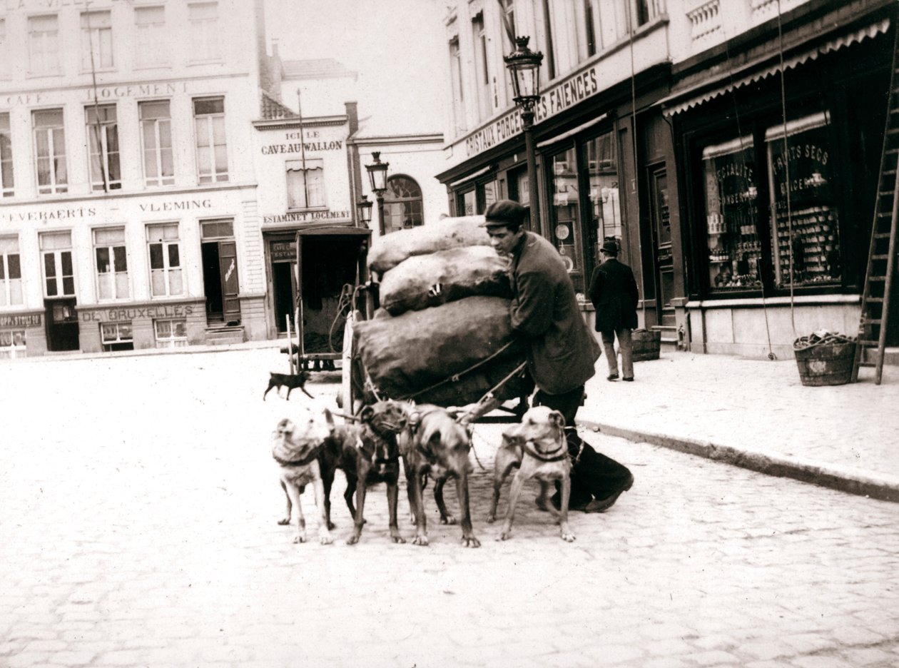 Mann med hundevogn, Antwerpen, 1898 av James Batkin