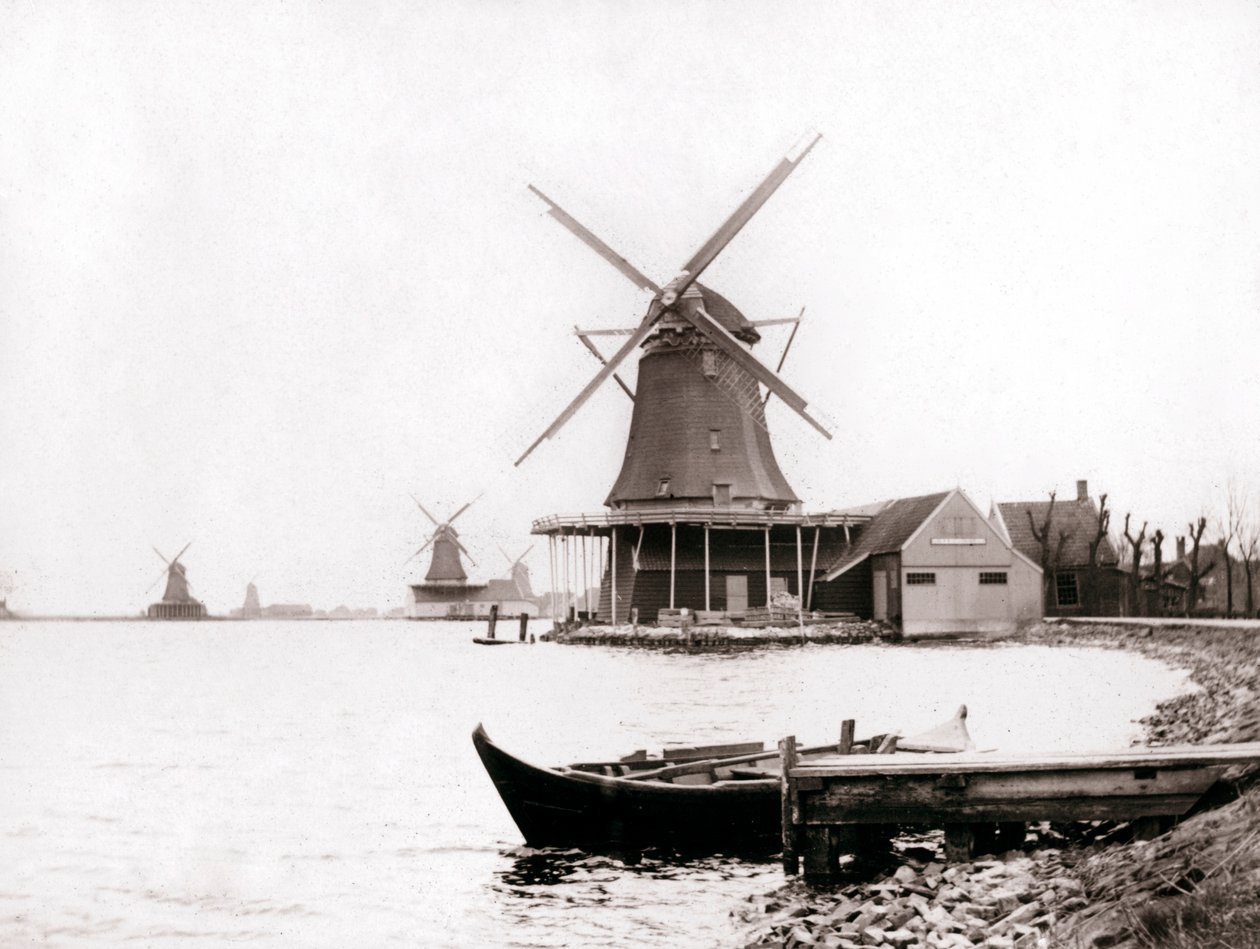 Vindmøller, Laandam, Nederland, 1898. av James Batkin
