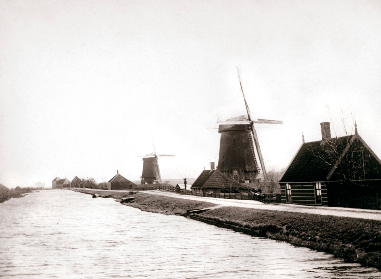 Vindmøller, Laandam, Nederland, 1898. av James Batkin