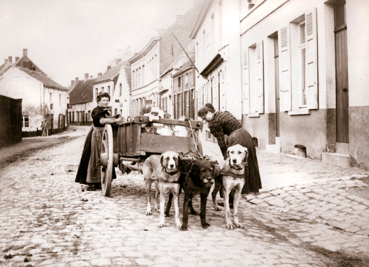 Kvinner og hundevogn, Antwerpen, 1898 av James Batkin
