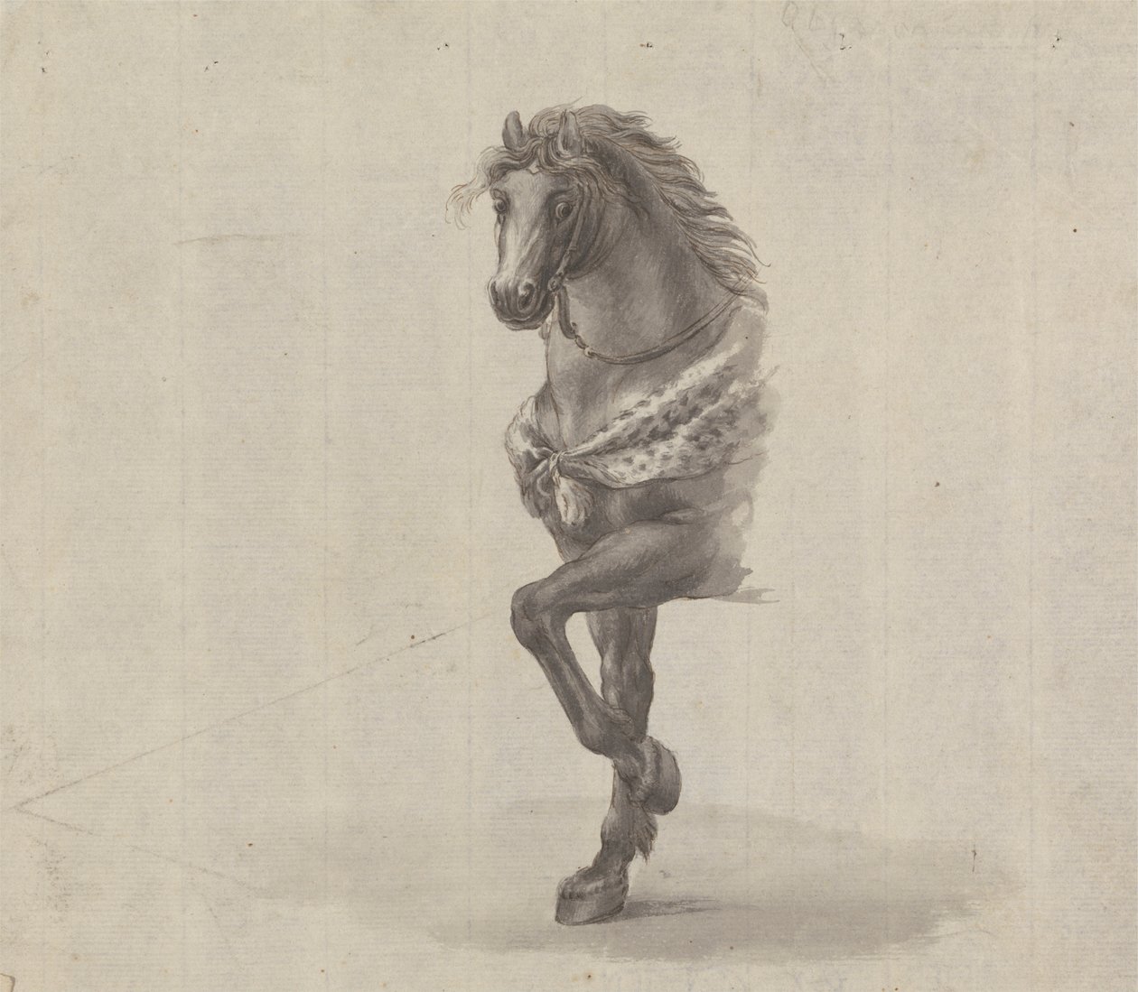 Studie av forsiden av en hest av James Bruce