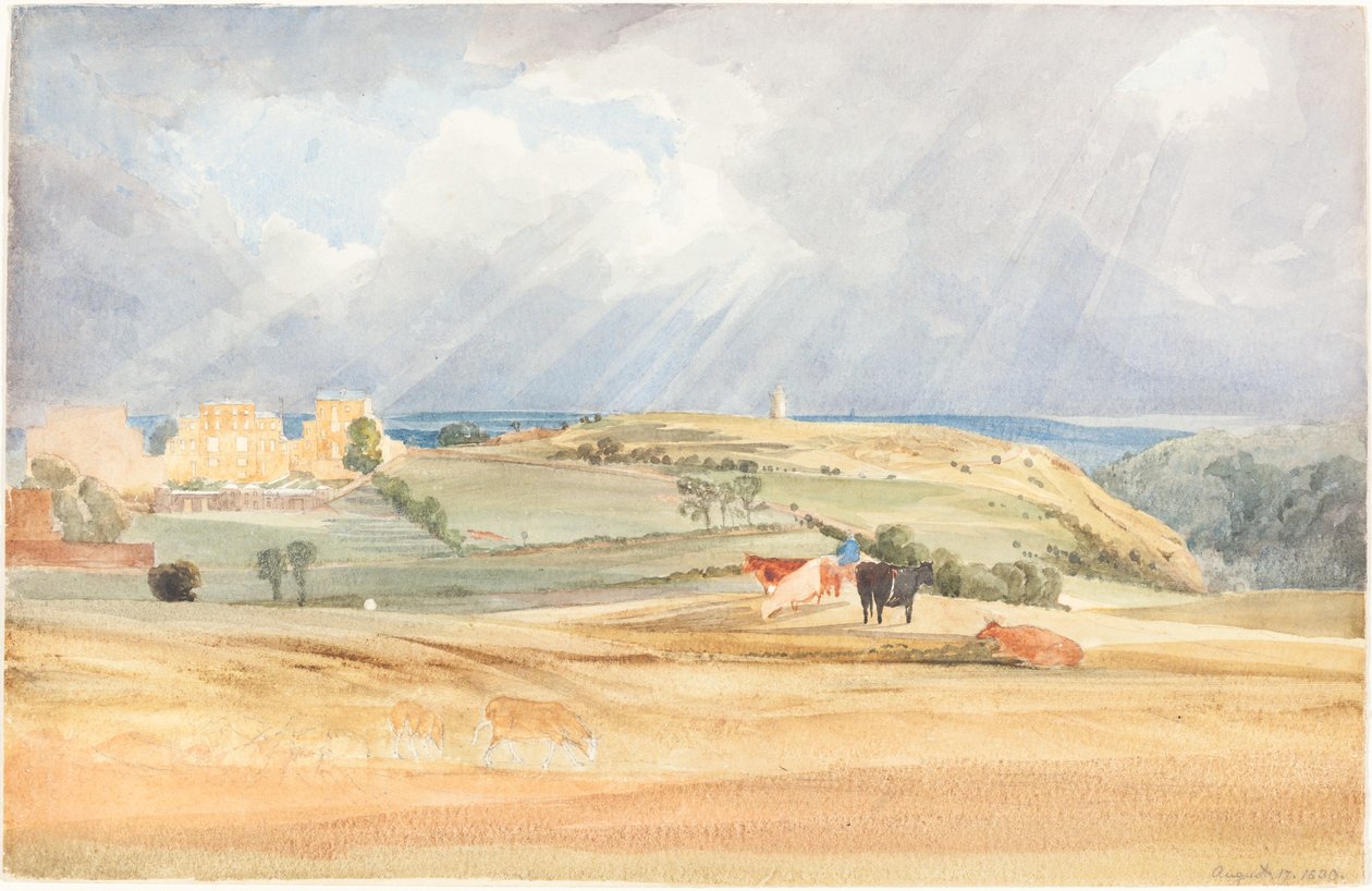 Landskap med storfe (Somerset?) av James Bulwer