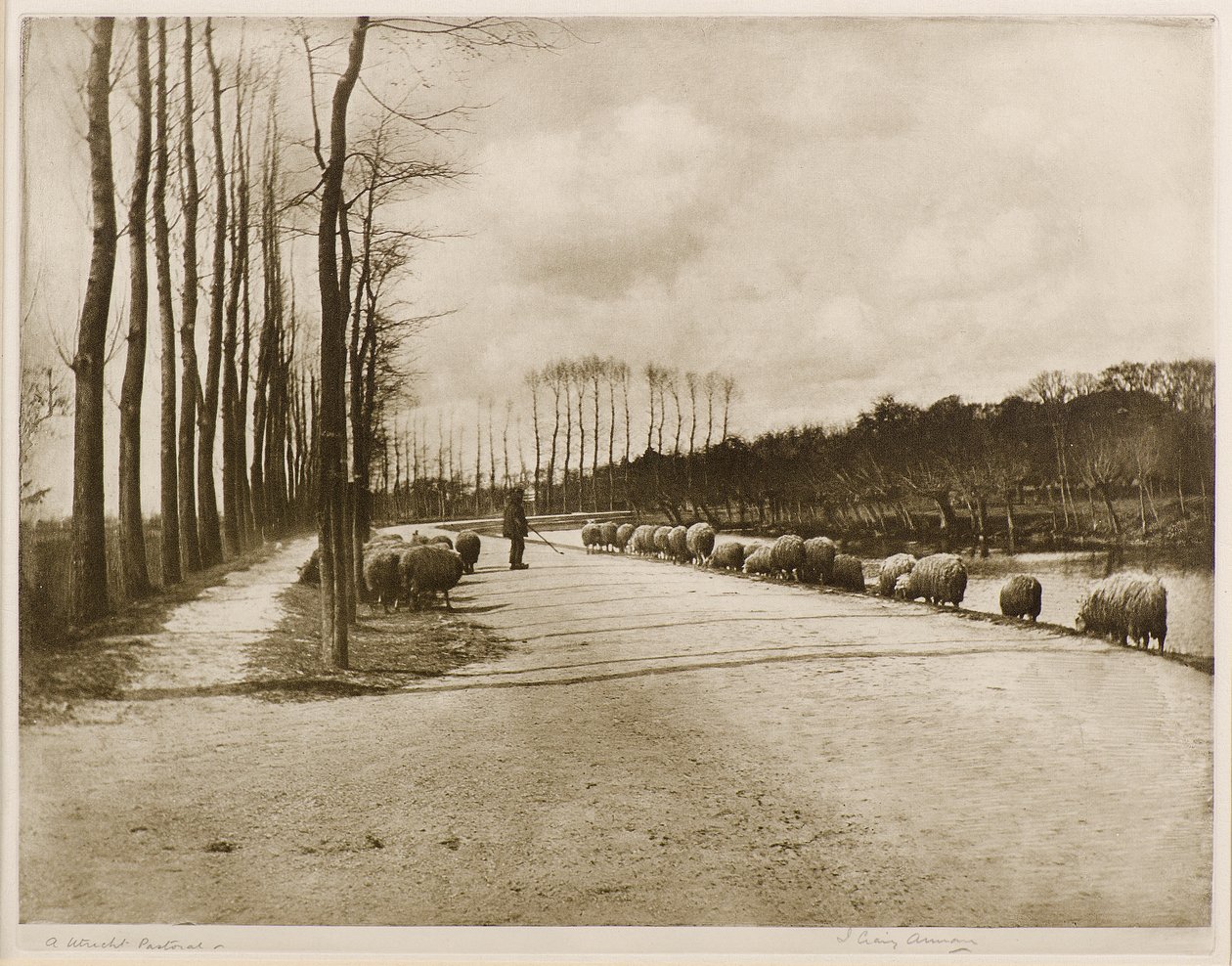 I Utrecht Pastoral (fotogravyr) av James Craig Annan