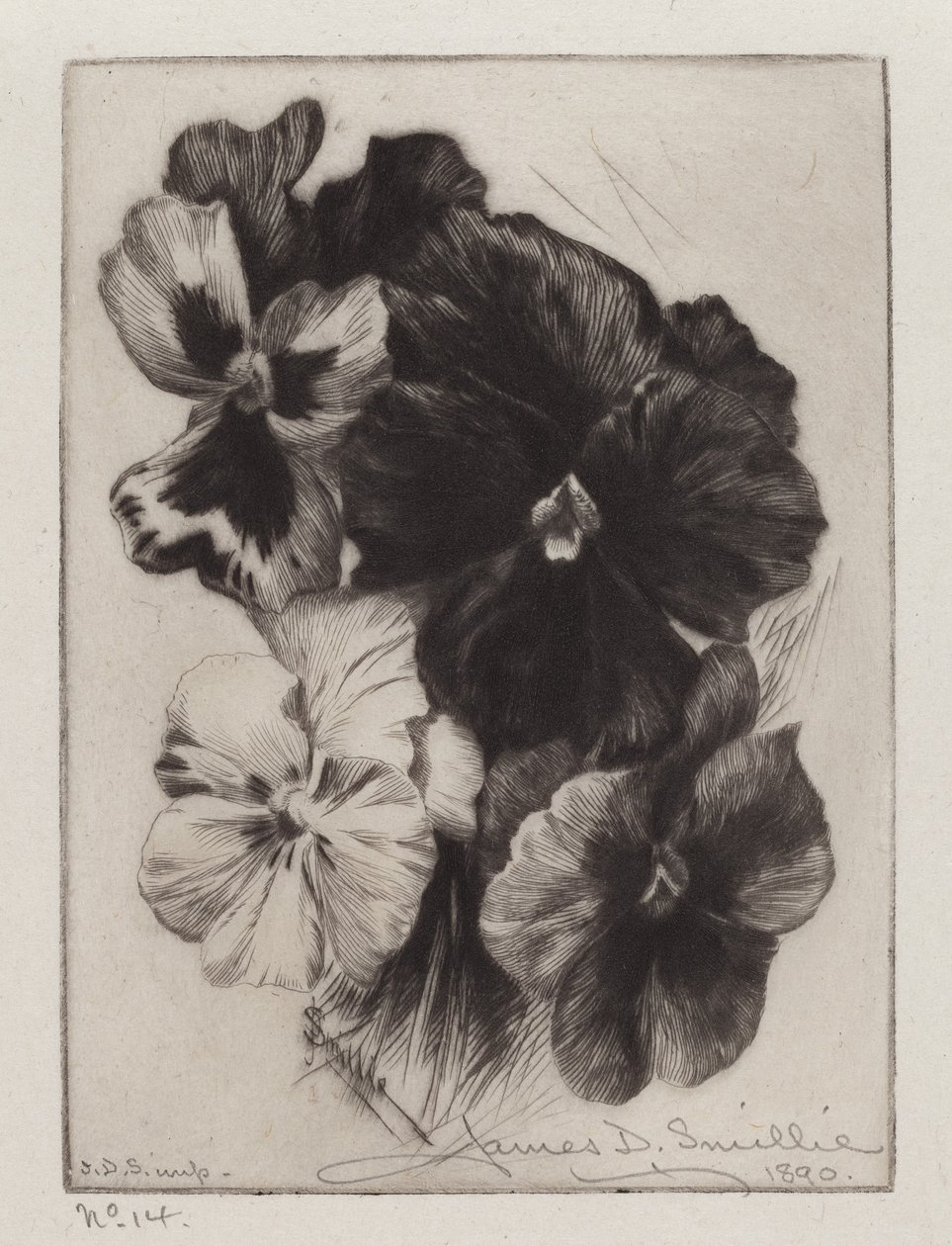 En haug med stemorsblomster av James David Smillie
