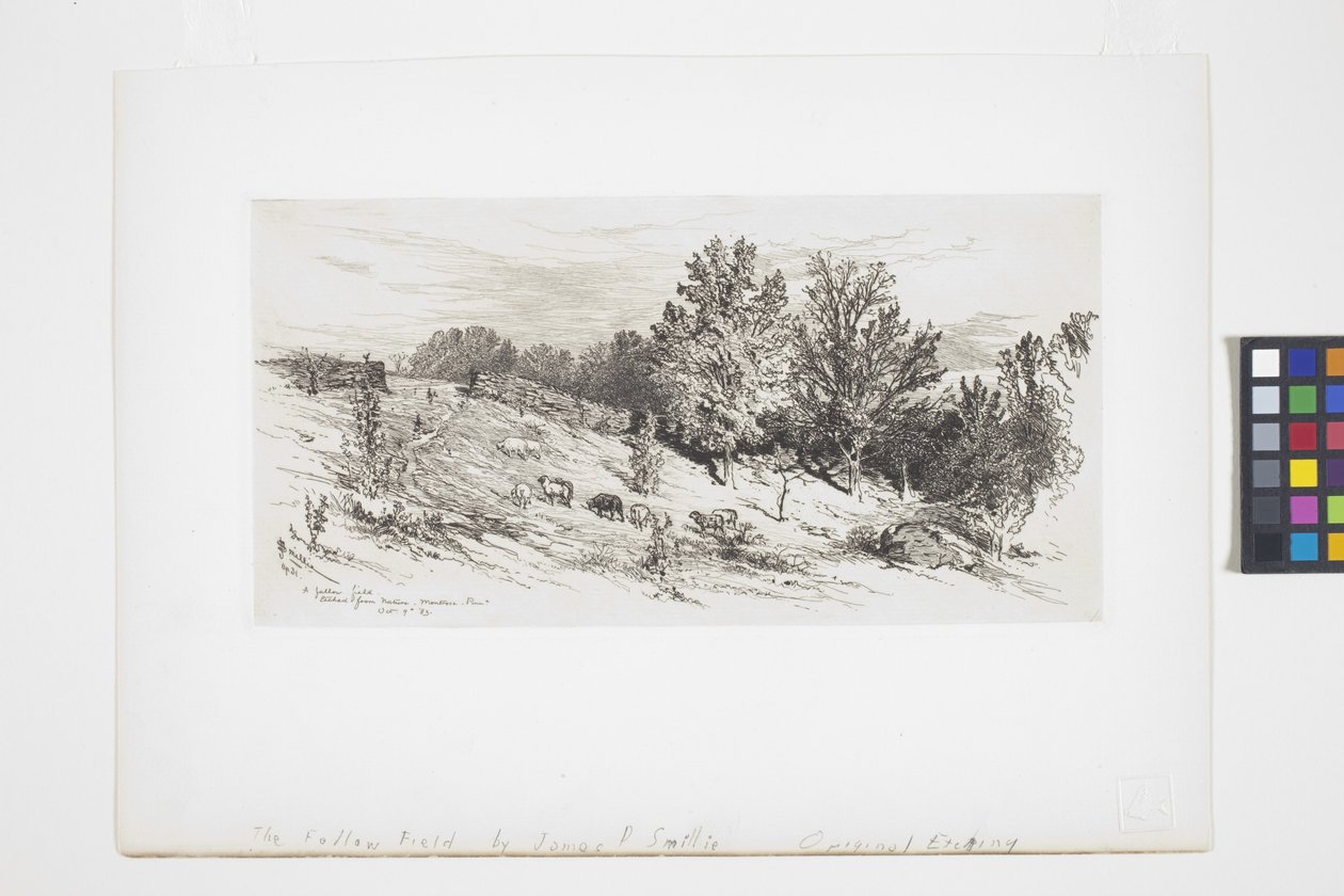 Et brakkfelt (blekk) av James David Smillie