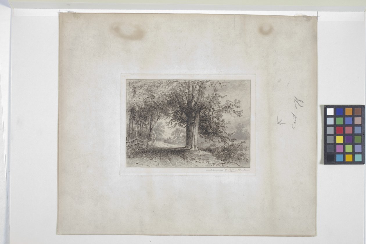 Landskap (etsing, chine collé) av James David Smillie
