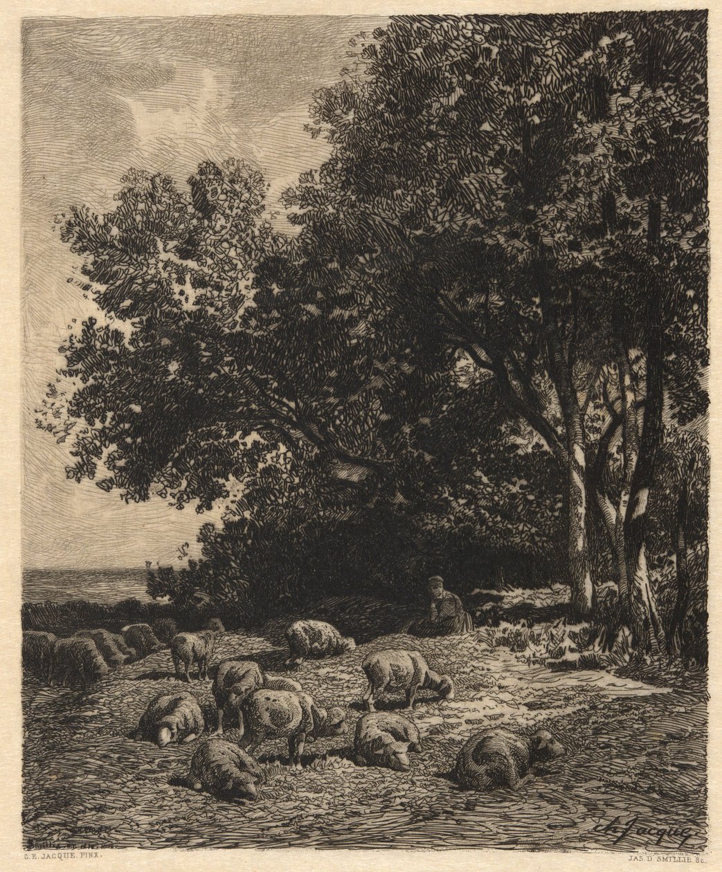 Landskap og sauer av James David Smillie