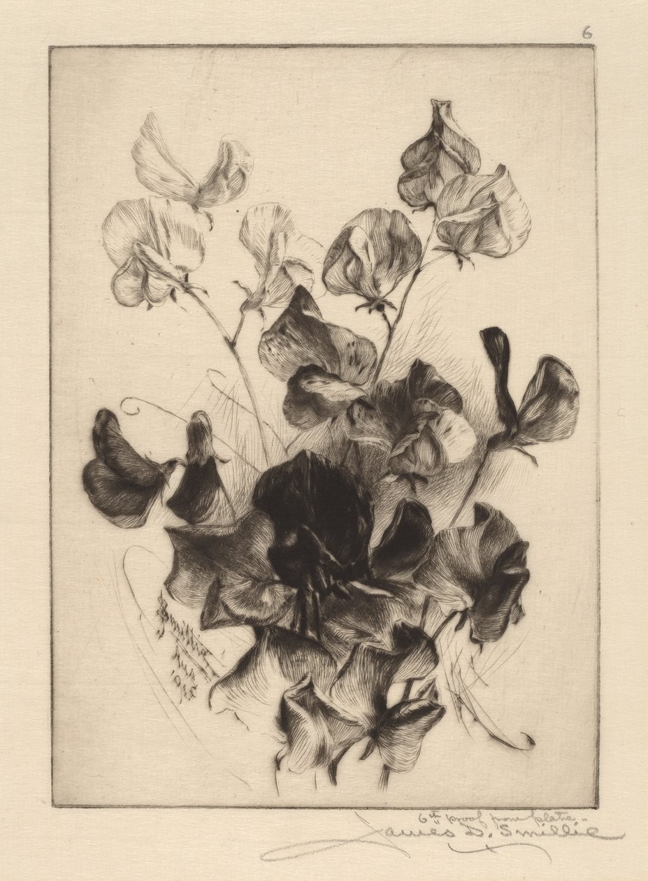 Sukkererter av James David Smillie