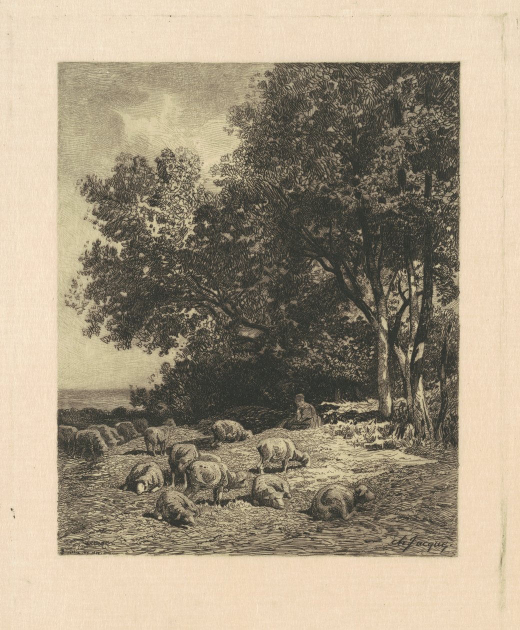 Landskap med sauer av James David Smillie, after Charles Émile Jacque