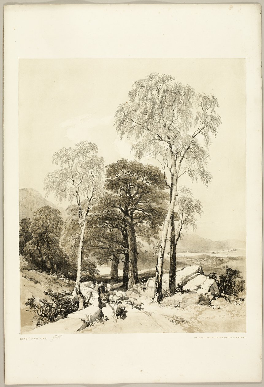 Bjørk og eik, fra Parken og Skogen av James Duffield Harding