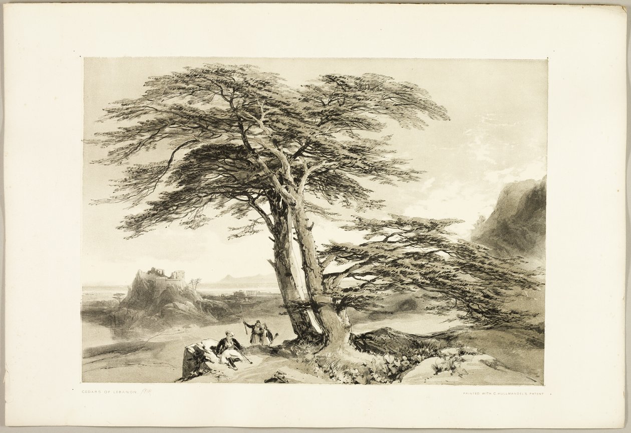  av James Duffield Harding