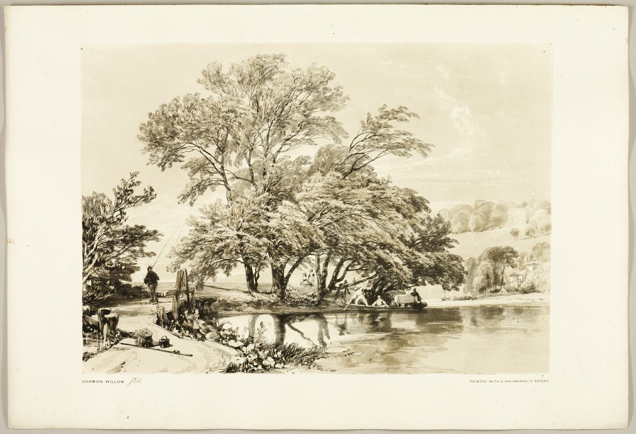 Vannpil, fra Parken og Skogen av James Duffield Harding
