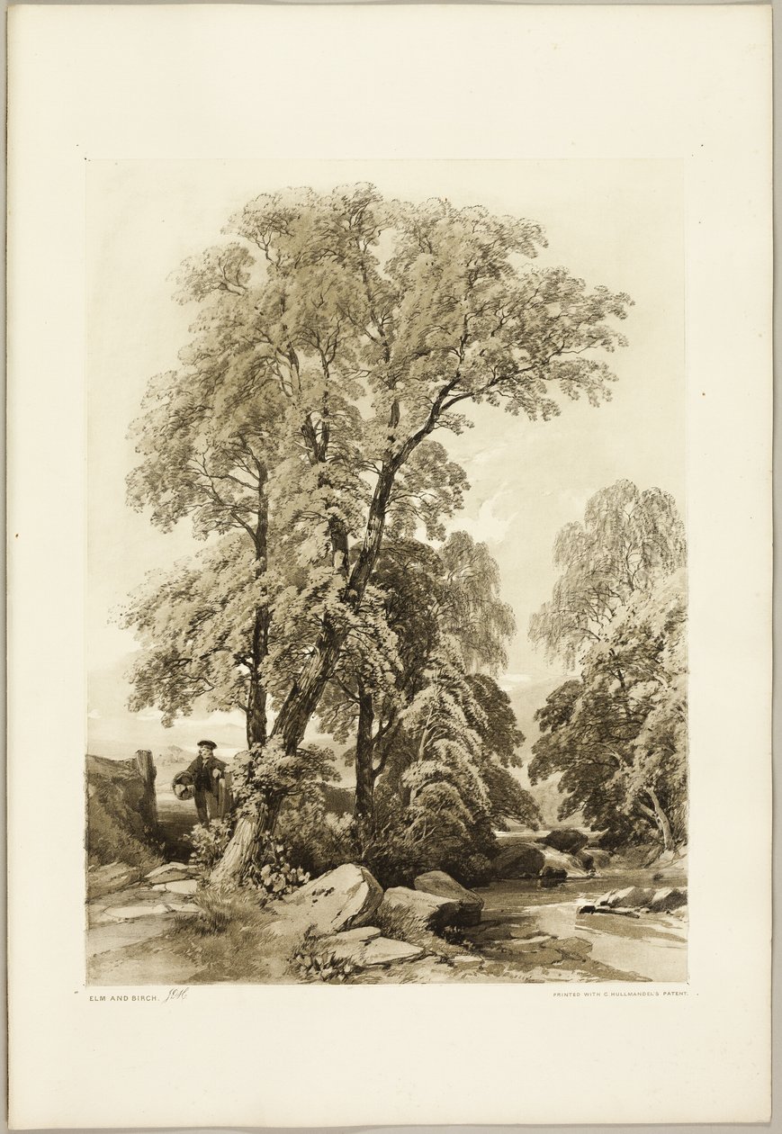 Alm og bjørk, fra Parken og skogen av James Duffield Harding