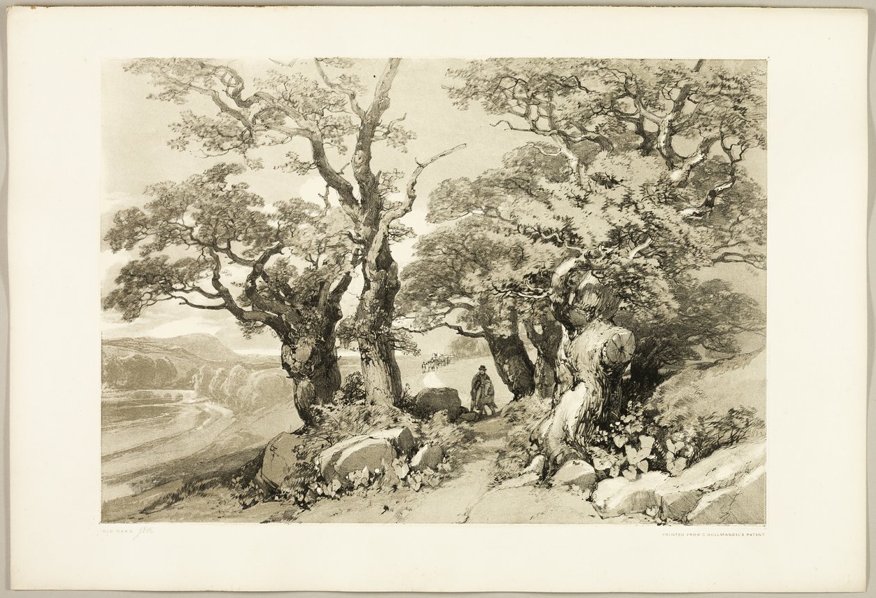 Old Oaks, fra The Park and the Forest av James Duffield Harding
