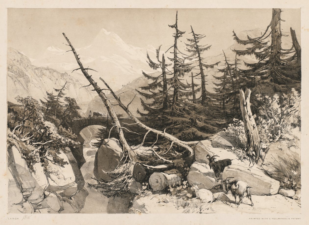 Furutrær og bro av James Duffield Harding