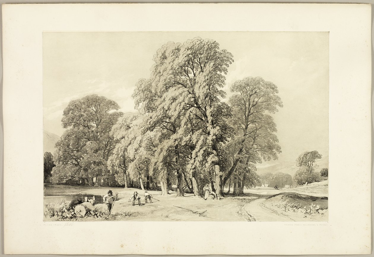 Plate Trees, fra Parken og Skogen av James Duffield Harding
