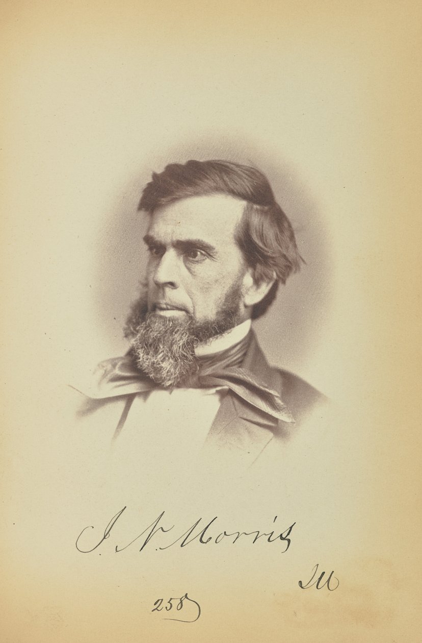  av James Earle McClees