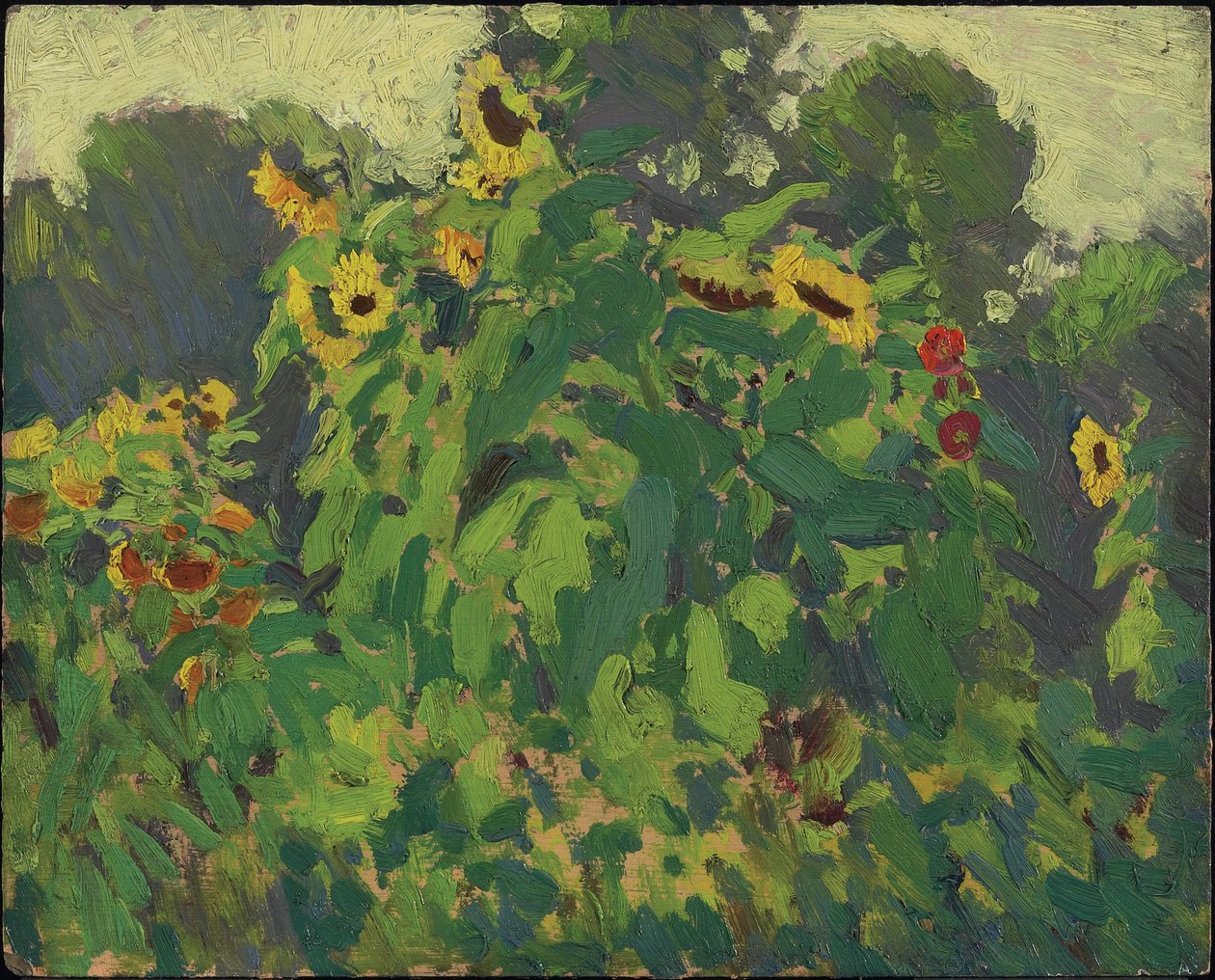 Solsikker, Thornhill, 1916 (olje på kompositt tremasseplate) av James Edward Hervey Macdonald