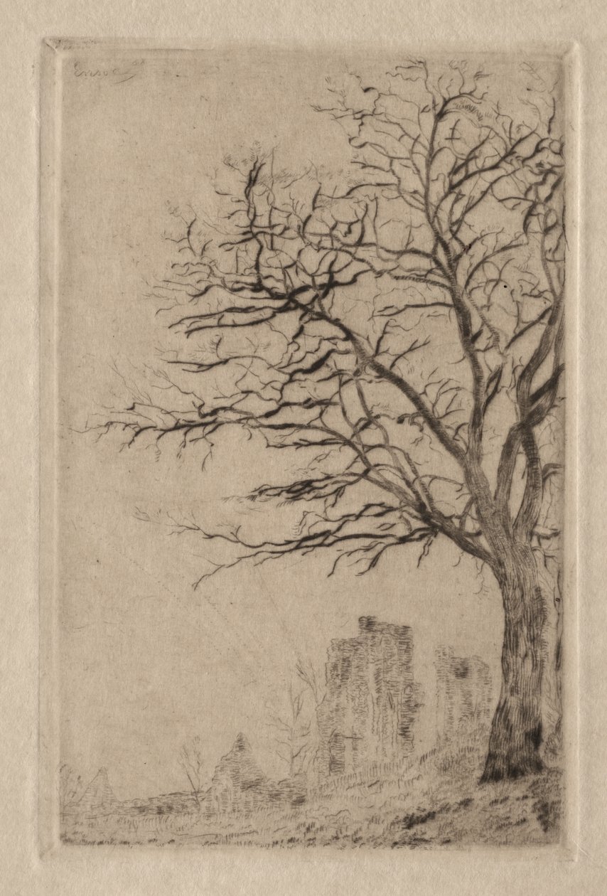 Akasie av James Ensor