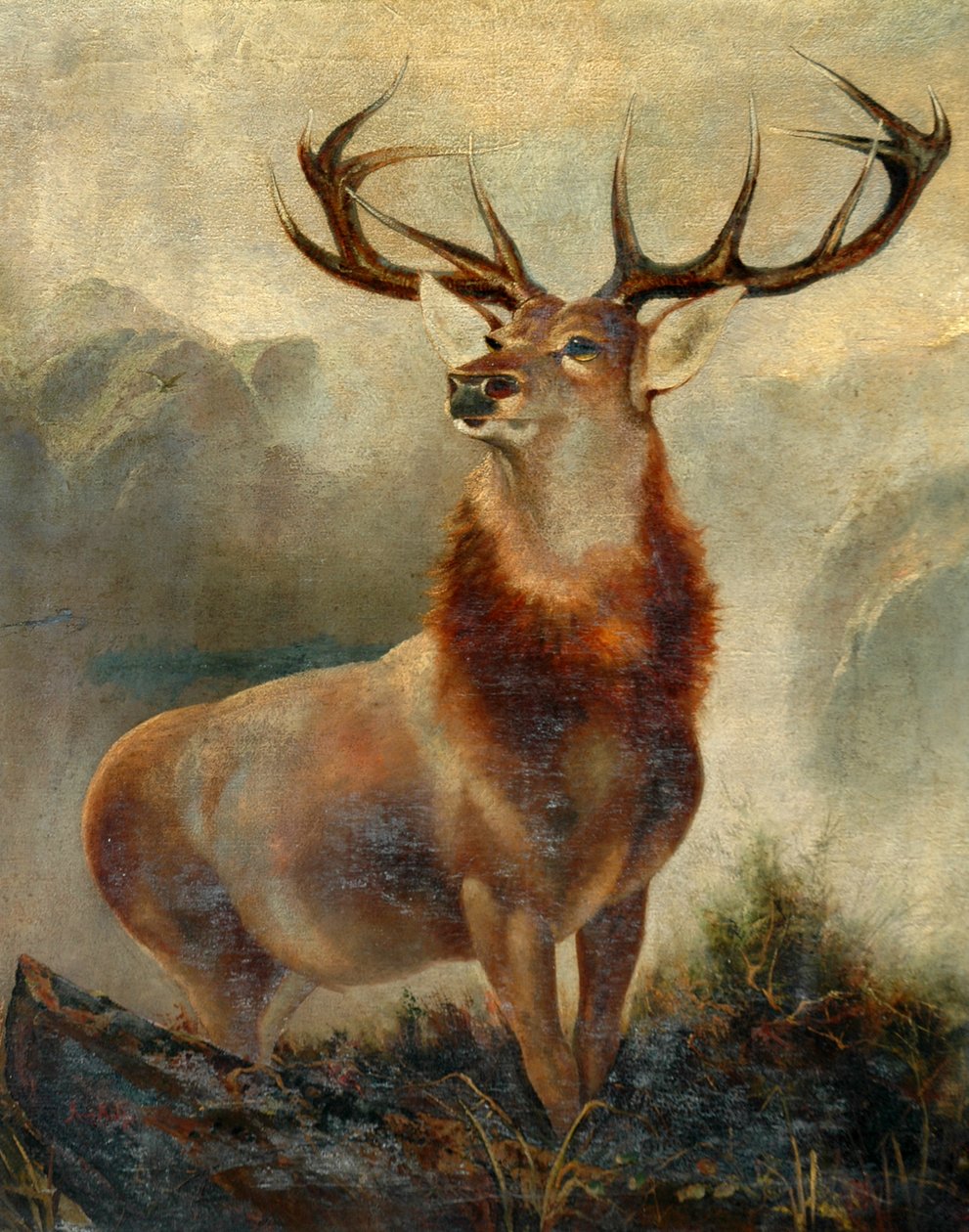 Stag At Bay av James Ford