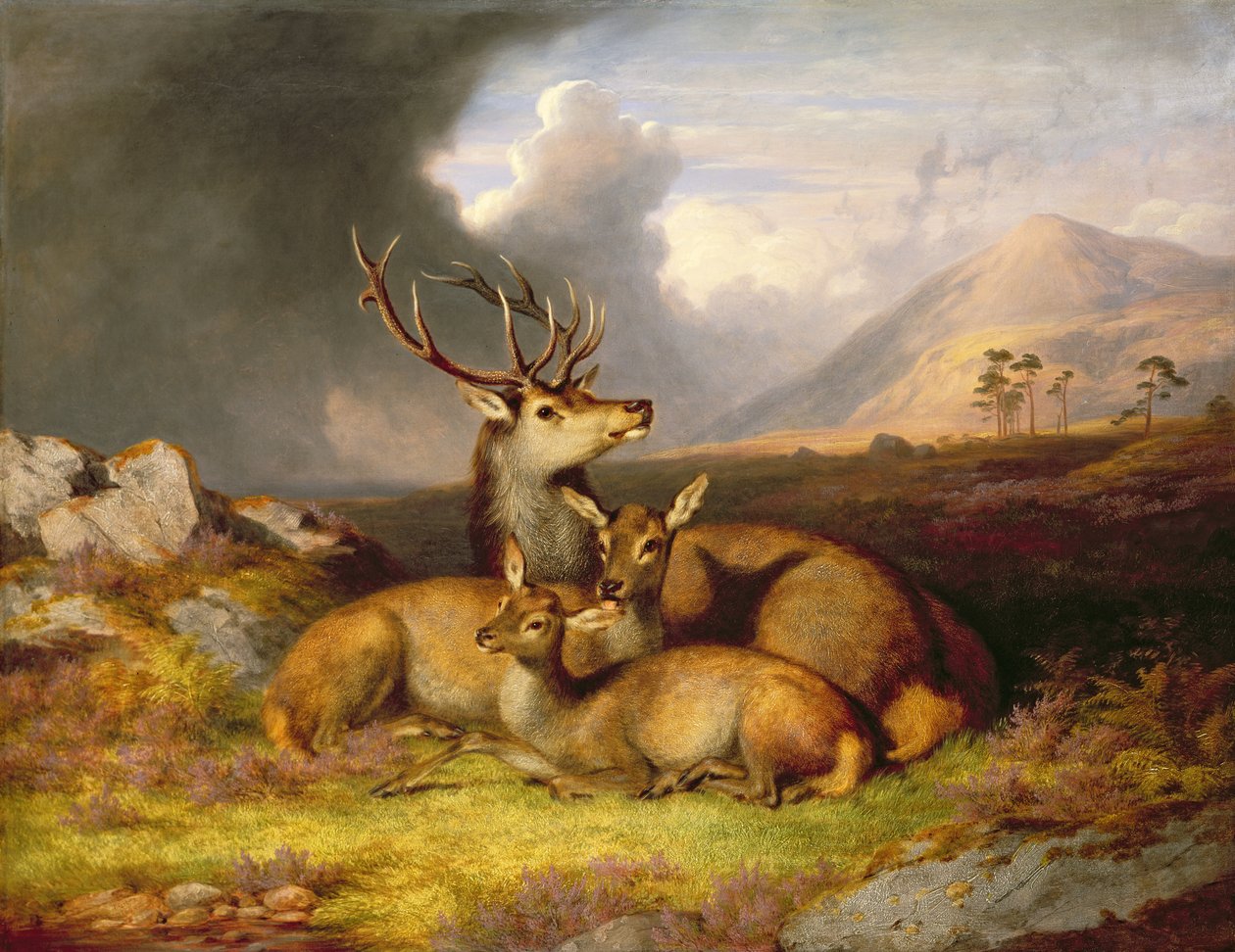 Highland Felicity, Ben Lebrig i bakgrunnen av James Giles