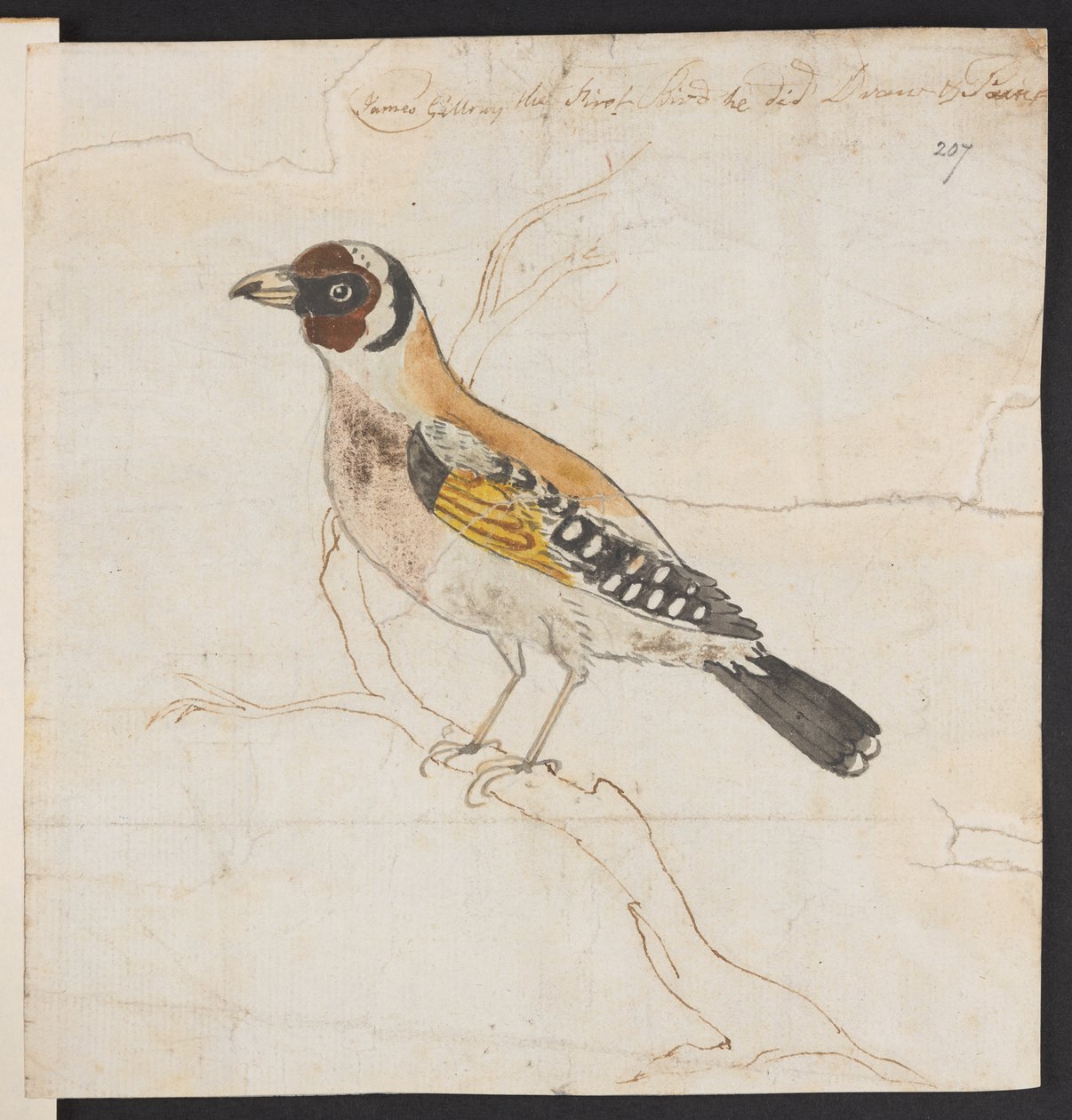 Fuglehekke, ca. 1757-1815 (akvarell og blekk) av James Gillray