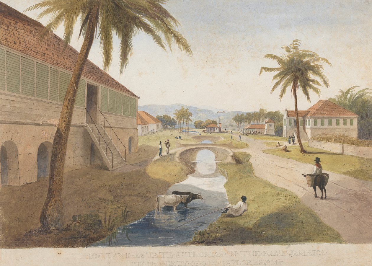 Holland Estate, St. Thomas i øst, Jamaica [En av ] av James Hakewill