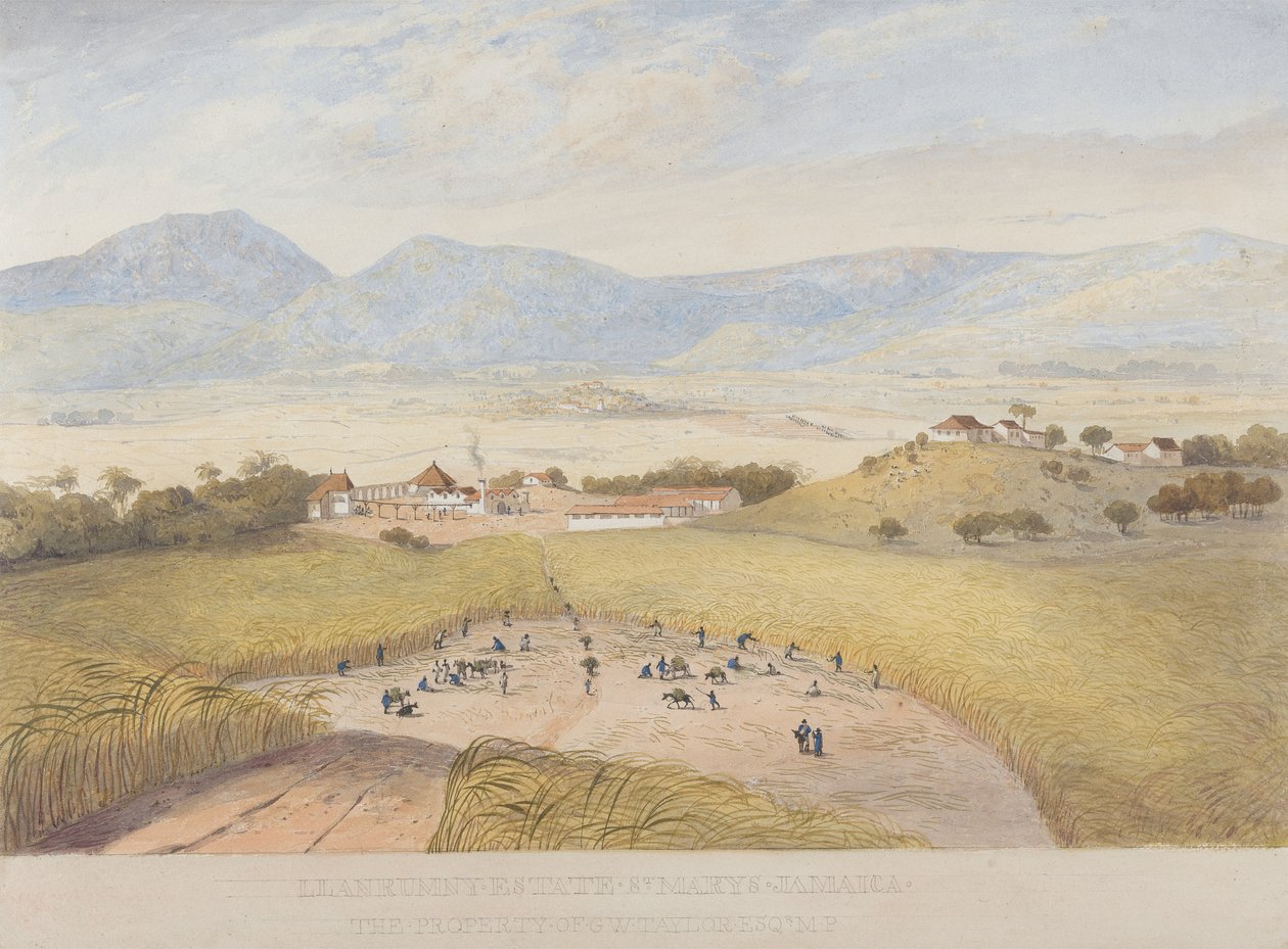 Llanrumny Estate, St. Mary's, Jamaica av James Hakewill