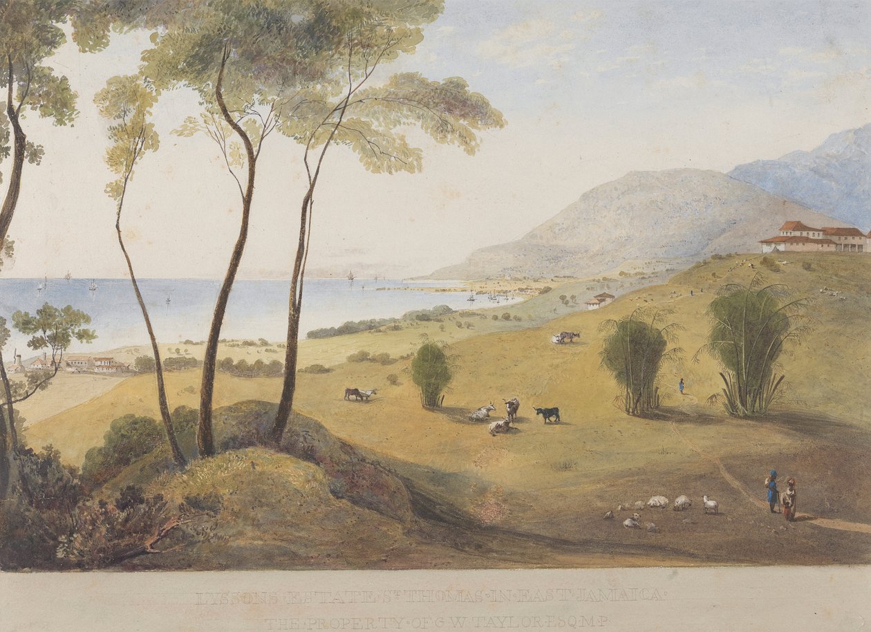 Lyssons Estate, St. Thomas i øst, Jamaica av James Hakewill
