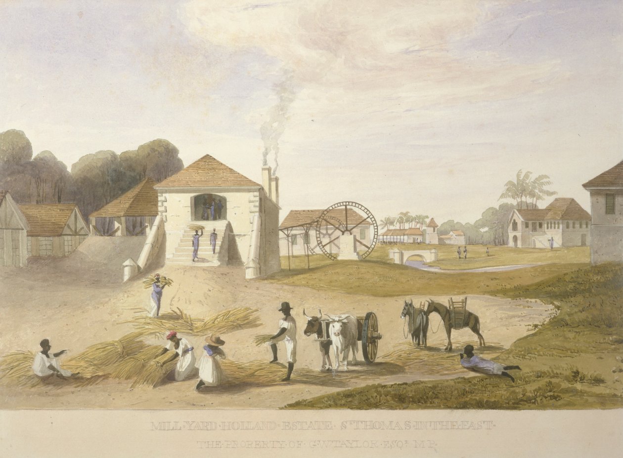 Mill Yard, Holland Estate, St. Thomas i øst av James Hakewill