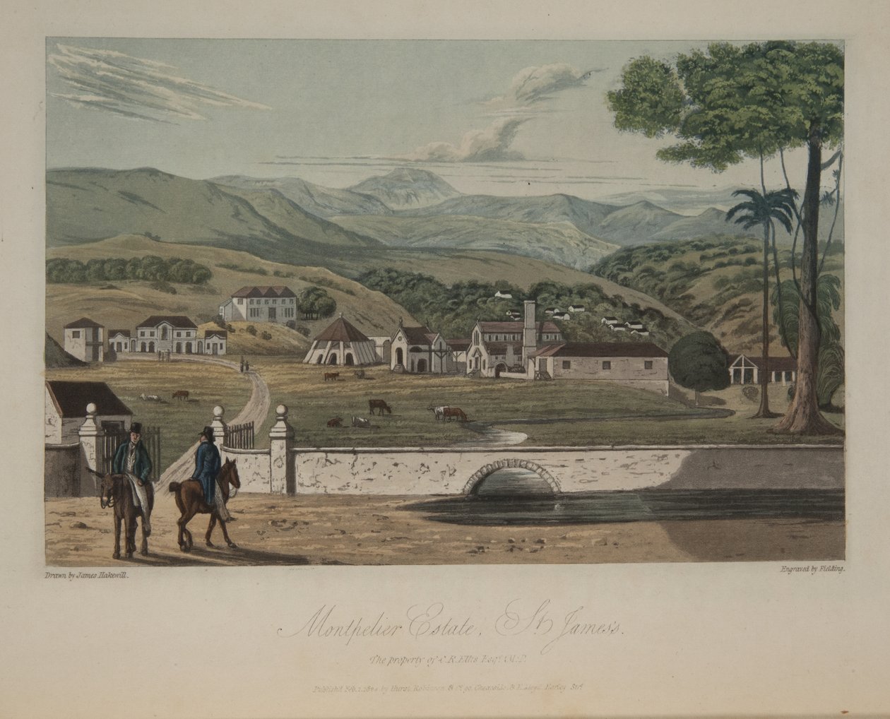 Montpelier Estate, St. James's av James Hakewill